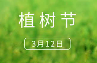 3.12 植树节 | 种下美好